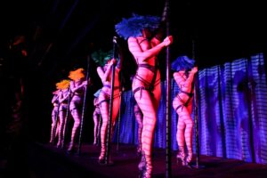 Scène U Turn Me On Crazy Horse François Goize 4