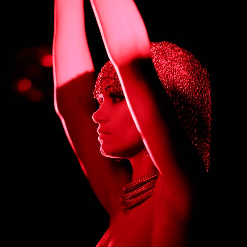 Scène Vestal's Desire Crazy Horse By François Goize